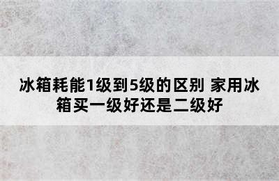 冰箱耗能1级到5级的区别 家用冰箱买一级好还是二级好